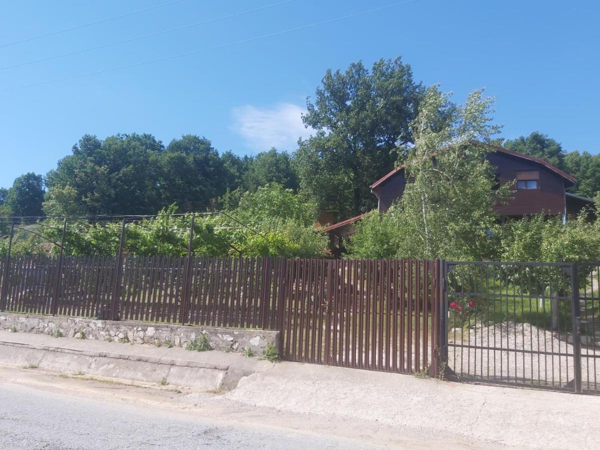 Casa Melania Βίλα Ieşelniţa Εξωτερικό φωτογραφία